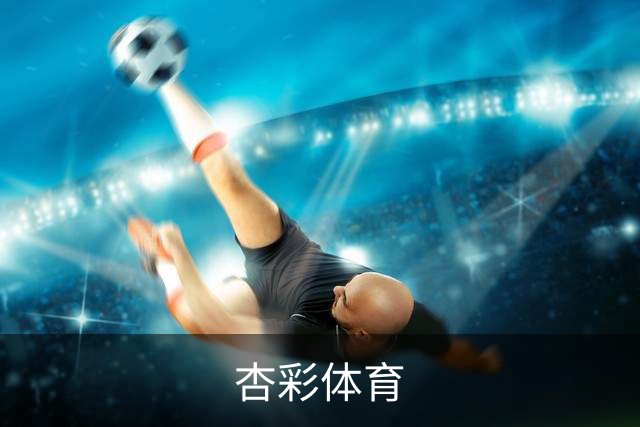 杏彩体育公司介绍